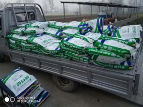 非瘟?xí)r代，裝卸品質(zhì) 守護(hù)養(yǎng)殖安全的堅實防線